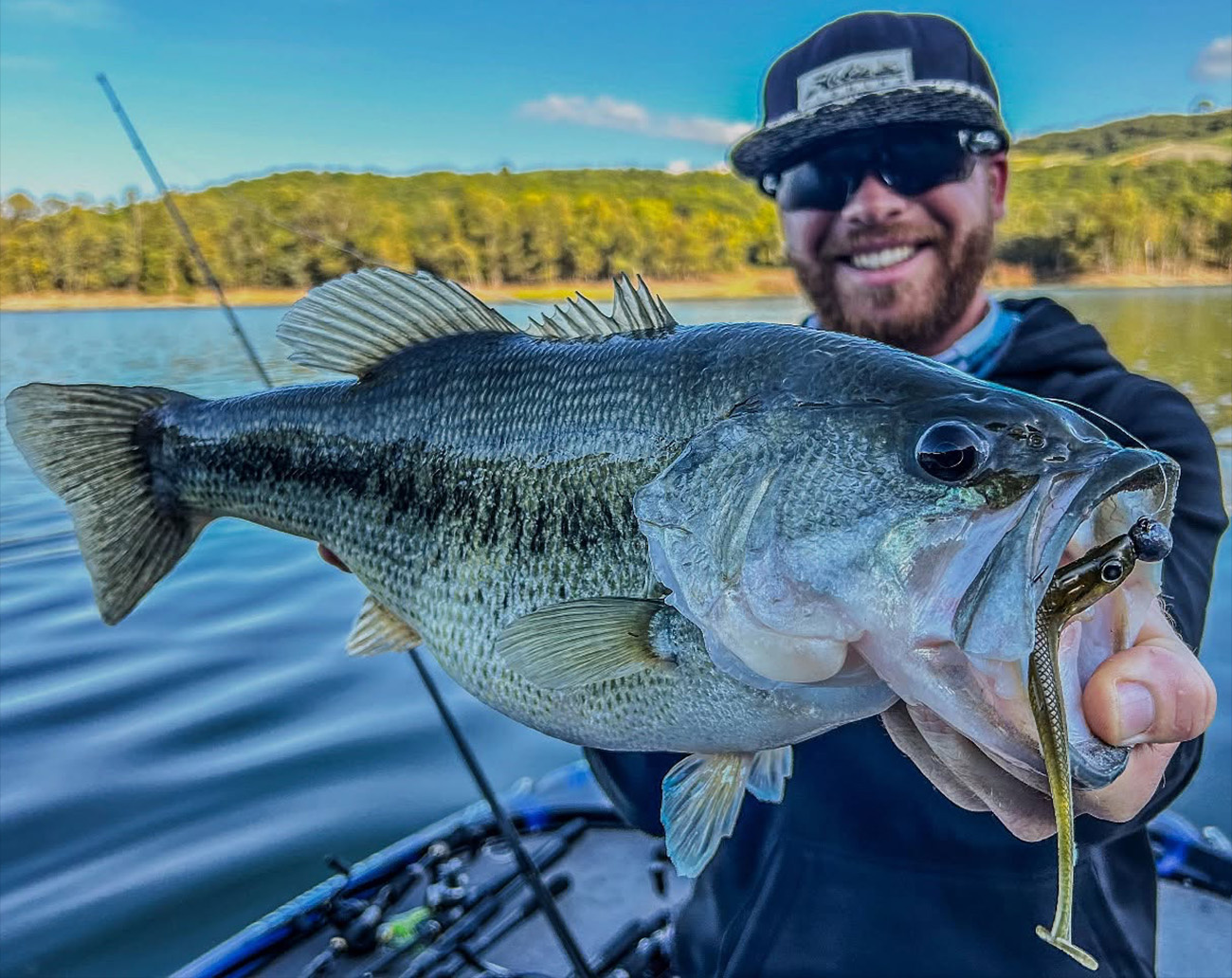 Molix RT Shad 4¨ Slim